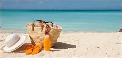 Voici un des lieux les plus visités et un des incontournables de l'été, la plage ! Combien de vacanciers par jour se rendent à la plage durant l'été ?