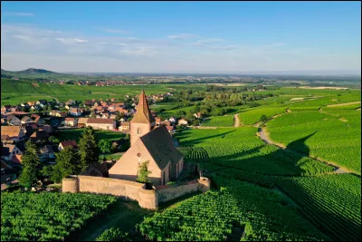 Combien y avait-il d'ath&eacute;es en 2019 en France ?