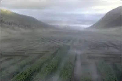 Vous êtes face à un "Kurta"... (en photo, le labyrinthe, Harry Potter et la Coupe de feu)