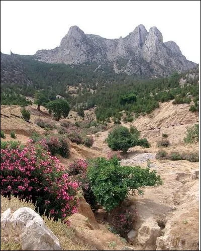 C'est un massif montagneux ou une montagne en Afrique du Nord.
