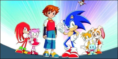 Comment s'appelle le jeune garçon qui héberge Sonic dans "Sonic X" ?