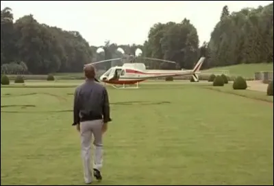 Professionnel : qui jouait dans le film sorti en 1981 "Le Professionnel" ?