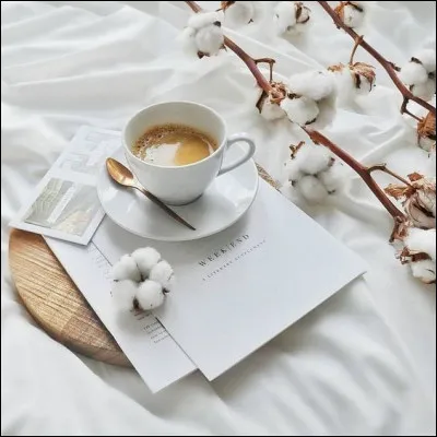 Propos : à quel écrivain doit-on "Propos sur le bonheur" ?