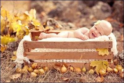 Prostate : le liquide prostatique est-il indispensable à la fécondité ?