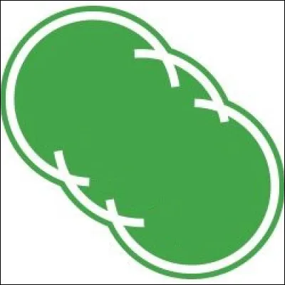 Quel mythique club français se cache derrière ce logo ?