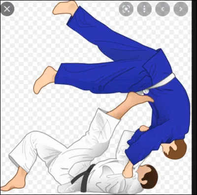 Comment s’appelle cette prise ?