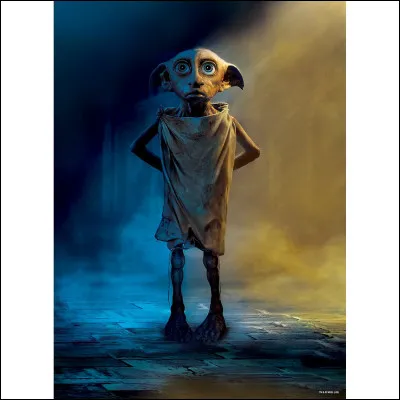 Qui était l'elfe de maison des Malefoy avant d'être libéré dans le second tome ?