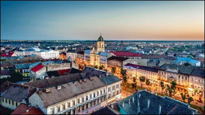 Dans quel pays la ville d'Arad, 160 000 habitants, se trouve-t-elle ?