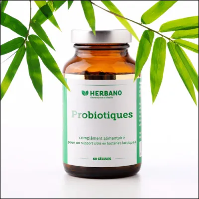 Probiotiques : dans quels cas sont-ils utiles ?