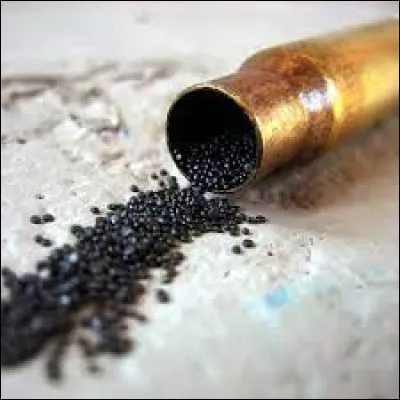 Dans quel pays la poudre &agrave; canon a-t-elle &eacute;t&eacute; invent&eacute;e ?