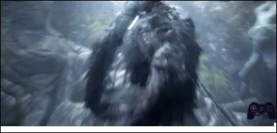 De quelle couleur est le Singe Gardien ?