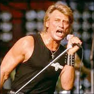 Quelle chanteuse a sorti le tube "Johnny, Johnny" ?