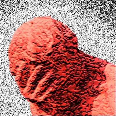 Selon l�expression, comme quelle fleur symbolisant la honte devient-on rouge ?