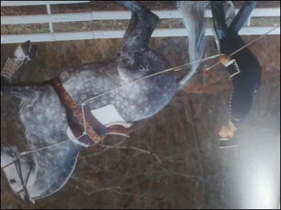 Quelle discipline te plait le plus ? (1)