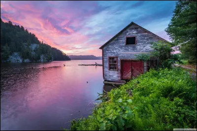 Quel est le nom exact de cette marque de sodas ?