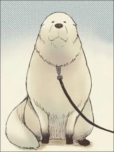 Et comment s'appelle ce chien ?