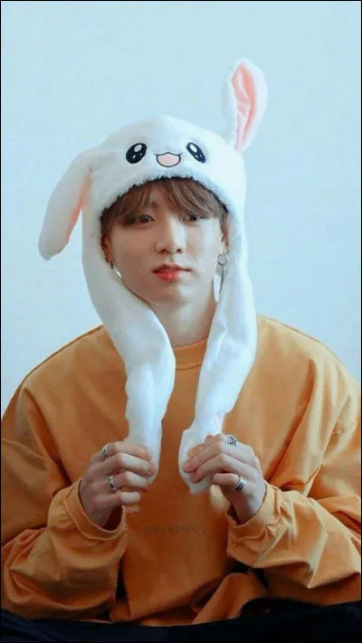 Un membre des BTS t'invite &agrave; dormir avec lui, avec qui irais-tu ?