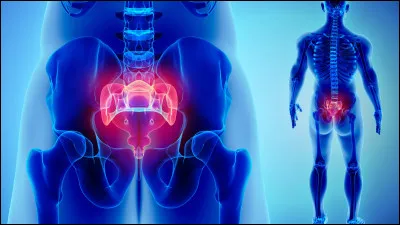 Le mot cossyx est bien orthographié.