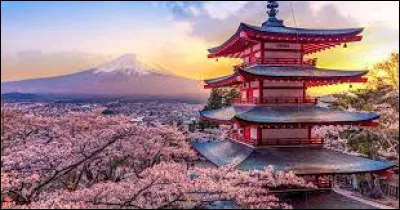 Cuisine - Parmi tous ces plats japonais, lequel est le plus mang&eacute; dans ce pays ?