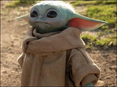Grogu était communément appelé par les fans...