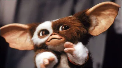 Avec Gizmo, il faut respecter trois règles. Parmi les trois propositions ci-dessous, laquelle est la bonne ?