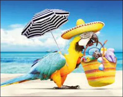 C'est le mois où l'été démarre.