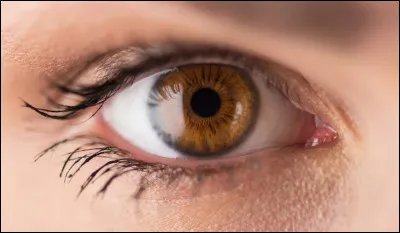Quelle est la couleur de tes yeux ?