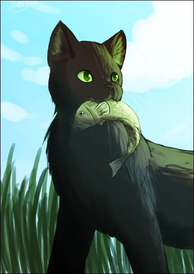 Vous êtes en train de manger dans le coin des apprentis quand ton mentor t'appelle : le chef du Clan veut te parler...