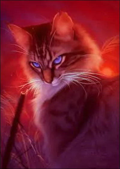 Ton chef t'explique que ton amie part du camp chaque nuit. Il finit par te demander de l'espionner pour savoir ce qu'elle mijote...