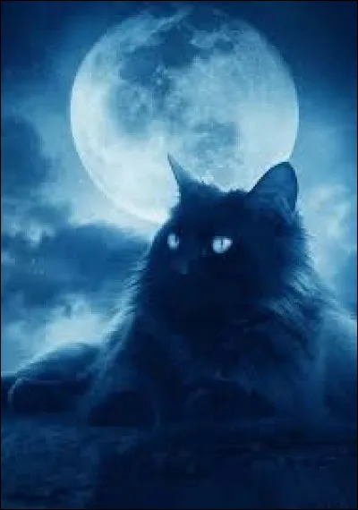 Tu retournes auprès des apprentis. Une fois la nuit tombée, tu sens Nuage Frileux se lever à côté de toi.