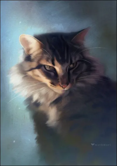 De retour à la pouponnière, ta mère, Feuille de Crépuscule, te demande où tu étais...