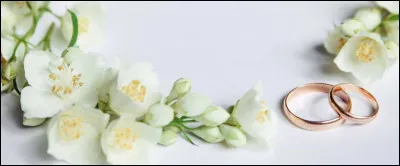 De quel animal la guenon est-elle la femelle ?