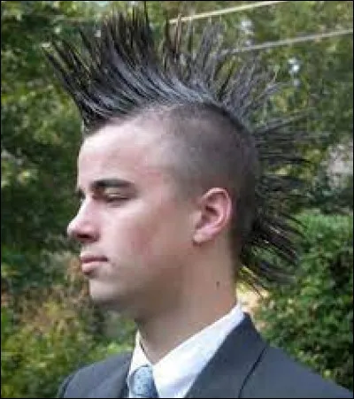 Quel est le nom de cette coiffure ?