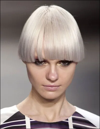 Quel est le nom de cette coiffure ?