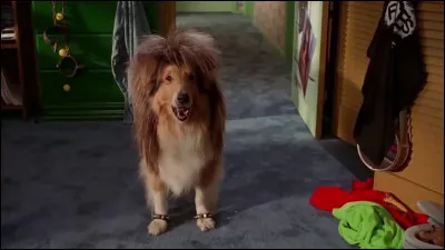 Comment s'appelle le chien de Garth ?