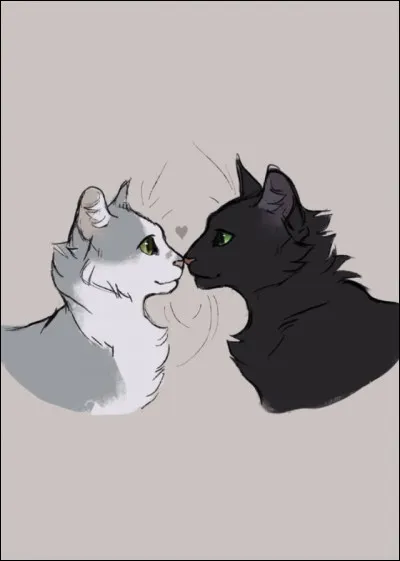 Décris ton RDV romantique de rêve :