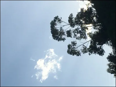 Vous escaladez une montagne. Arrivés au sommet, tu admires la vue en silence. Il/elle arrive près de toi et dit :