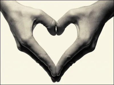 Combien y a-t-il d'os dans la main ?