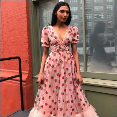 Quelle robe préfères-tu ?