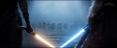 Ton compagnon serait...