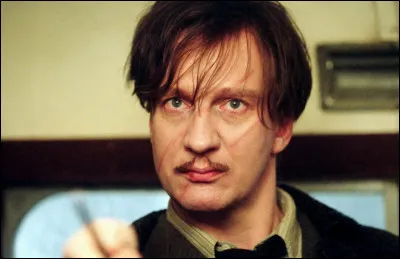 Quel gar&ccedil;on de ''Harry Potter'' pr&eacute;f&egrave;res-tu ?