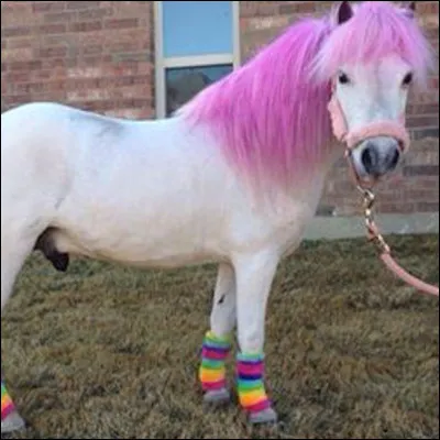 Quelle robe préfères-tu ?