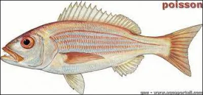Comment dit-on "Le poisson" ?