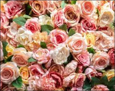 Quel pilier préfères-tu ?