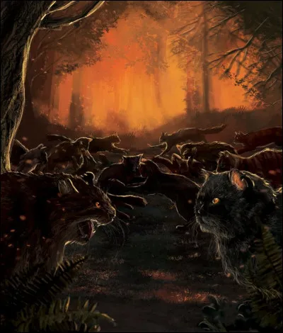 Mais, il est trop tard. Lorsque tu arrives au camp, les félins ennemis sont déjà descendus dans le ravin et séparpillent comme une rivière, non, un torrent dangereux. Les premiers cris retentissent et des silhouettes noires se livrent bataille.