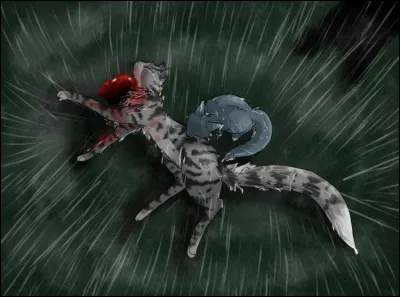 Tu lèves la tête lorsque tu entends quils disent quils ont trouvé un corps sur le chemin du Tonnerre, le corps de Nuage Frileux.