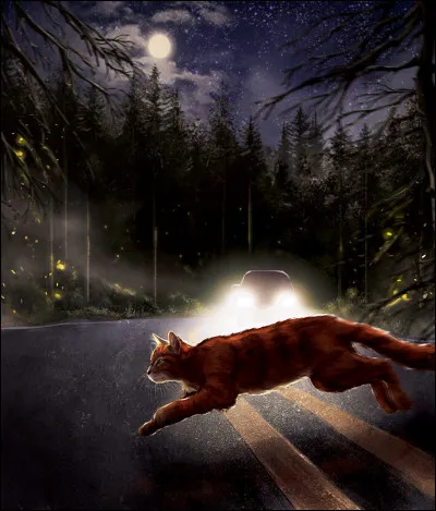 Une fois arrivé au chemin du Tonnerre, tu prends quelque temps, pour apercevoir le corps, un petit tas de fourrure au milieu du chemin. Tu vérifies quil ny ait pas de monstres, et tu te diriges vers elle. Il ny a aucune trace de combat ou de fuite. En regardant ton ancienne amie, tu ne ressens que du vide en toi. 
Jusquà aujourdhui, personne na découvert pourquoi elle était morte.