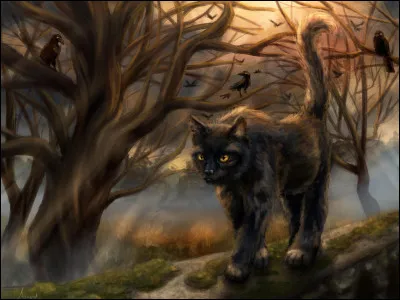 Soudain, les griffes te lâchent et tu te retournes, le pelage ébouriffé. Tu découvres quil ne sagissait en réalité pas dun ennemi mais dun buisson de ronces, dans lesquelles tu tétais accroché, et tu ne las pas vu à cause de la nuit noire.