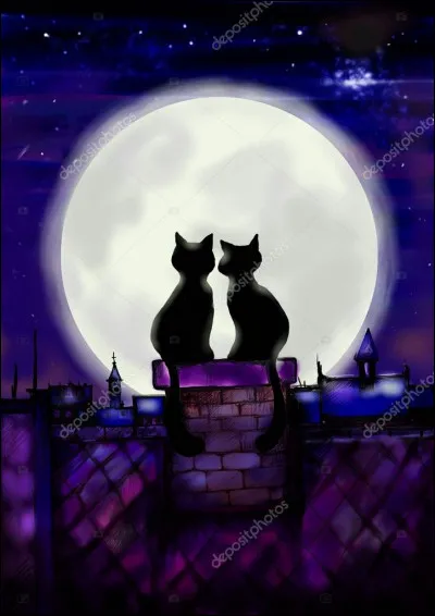 Tu sursautes lorsque Nuage Frileux se retourne soudain et regarde dans ta direction, comme si elle avait entendu un bruit. Elle scrute les environs, les yeux brillants. Elle ne ressemble plus du tout à lapprentie que tu connaissais. Un autre chat la rejoint, tu ne peux pas reconnaître son odeur, le vent de la lande la porte au loin. 
''- As-tu trouvé un bon chemin ?'' demande le félin inconnu.