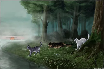 Tu ne bouges pas et entends plusieurs chats monter aux côtés de Nuage Frileux, et tu reconnais enfin lodeur du clan de la Rivière qui imprègne le pelage des félins. L'apprentie du clan du Vent prend la parole : 
- Suivez-moi ! Je vous montrerai le chemin ! 
Puis, les chats ennemis descendent tous de la pierre. Tu as de la chance, ils ne te remarquent pas.